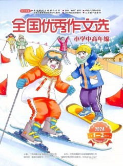 全国优秀作文选